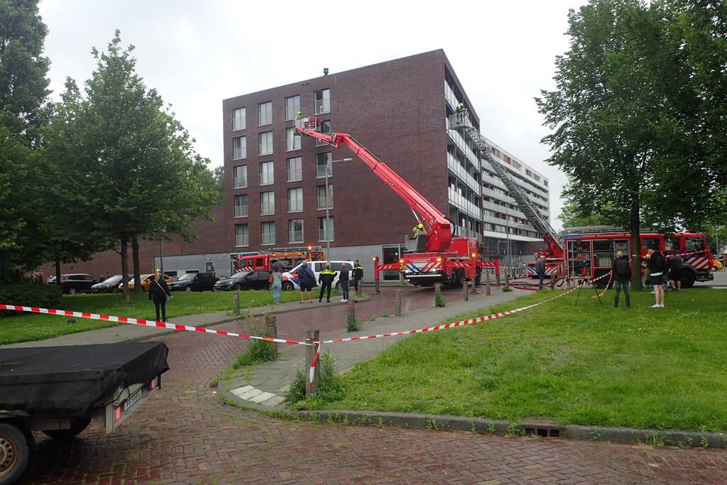 Brand in flatwoning