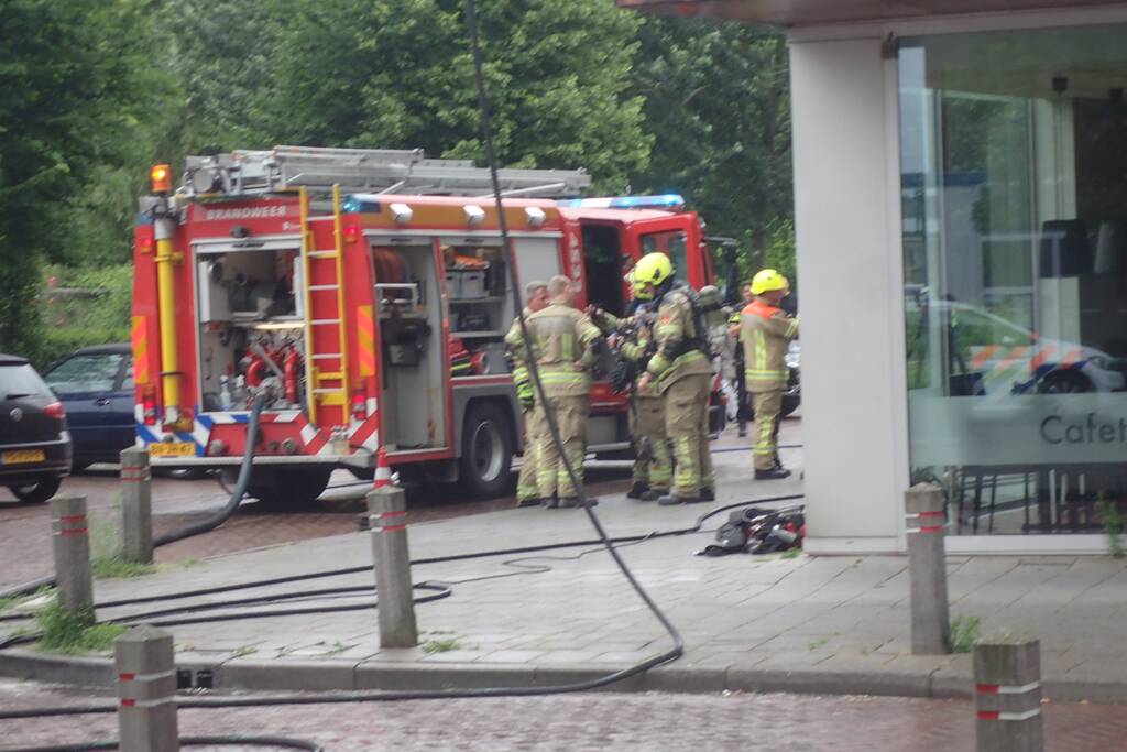 Brand in flatwoning