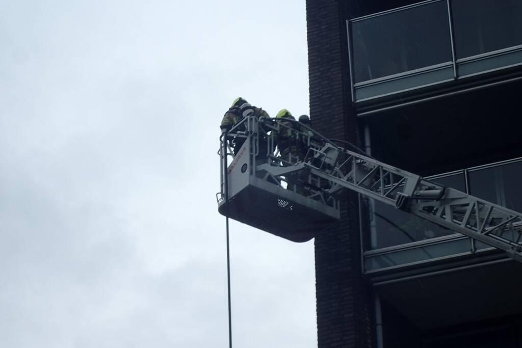 Brand in flatwoning