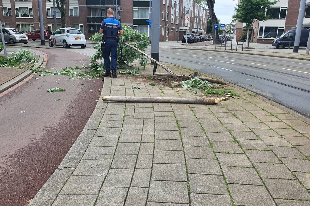 Auto rijdt door na ongeval tegen boom