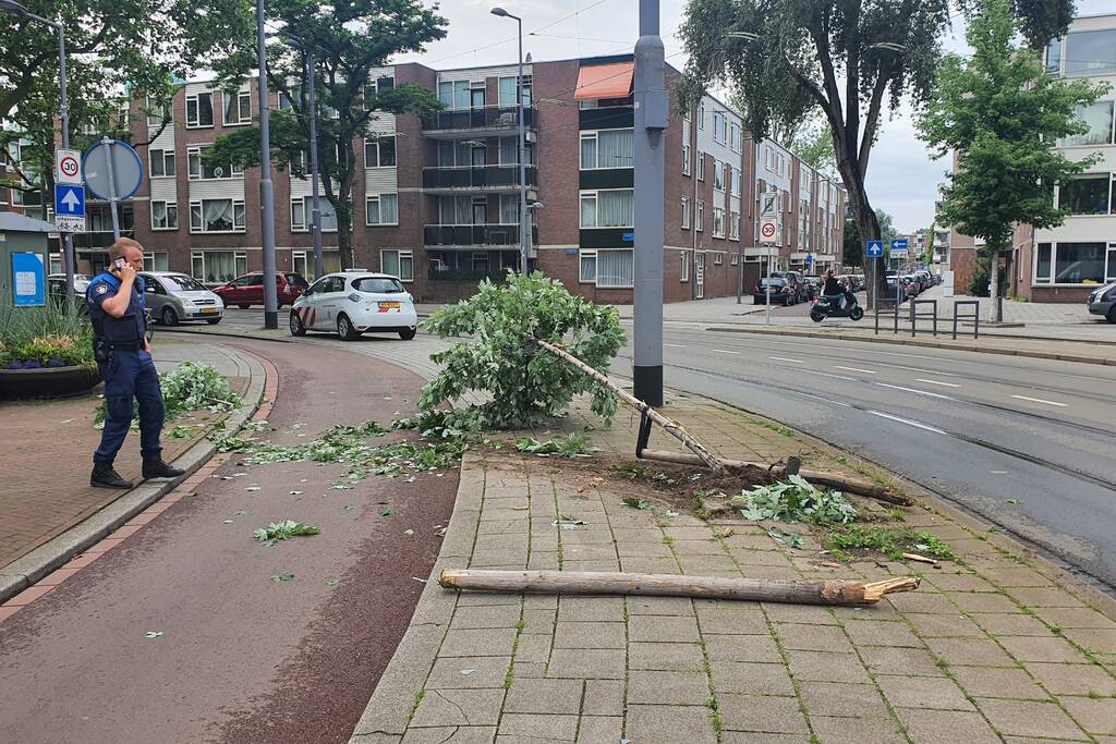 Auto rijdt door na ongeval tegen boom