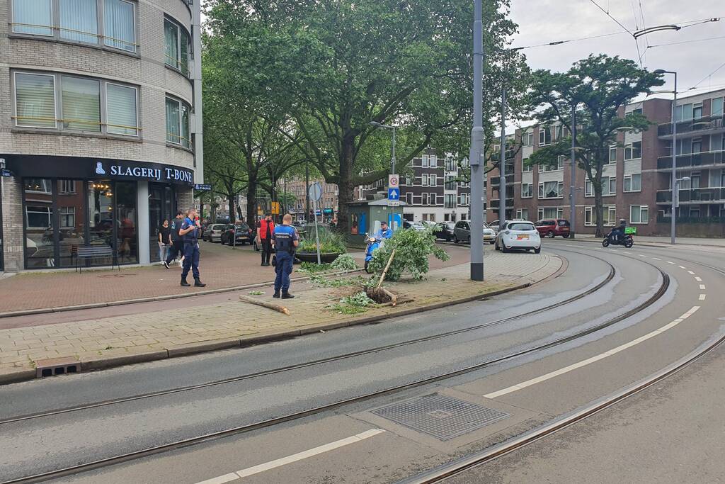 Auto rijdt door na ongeval tegen boom