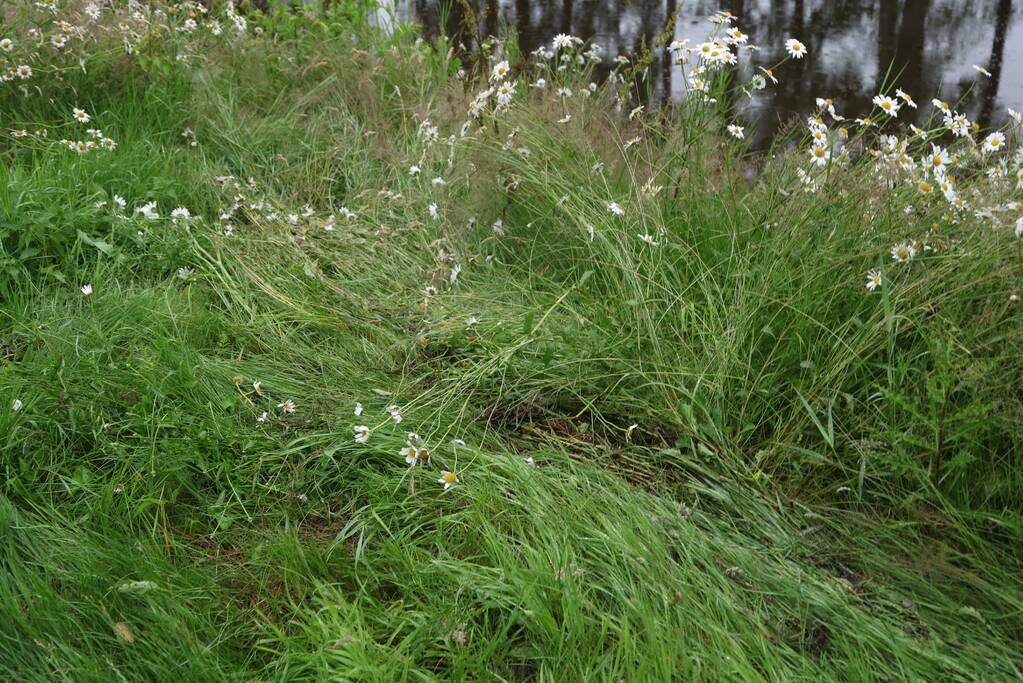 Persoon gewond na te water raken met scooter
