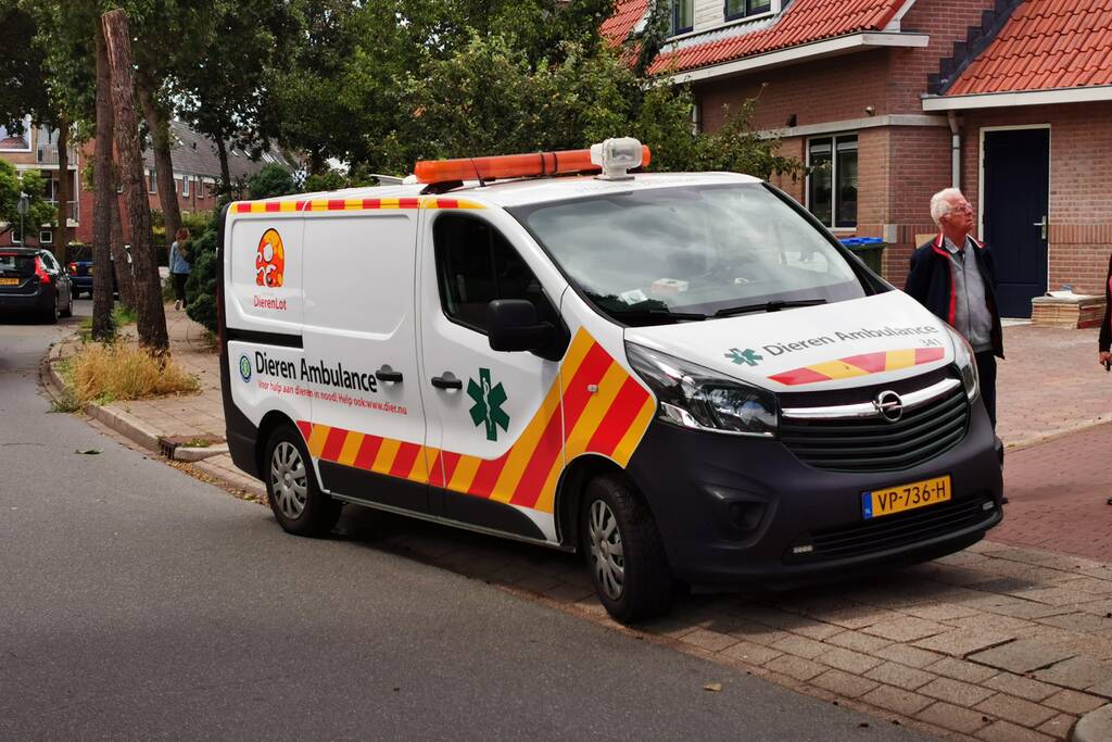 Brandweer bevrijdt vastzittende zwaluw