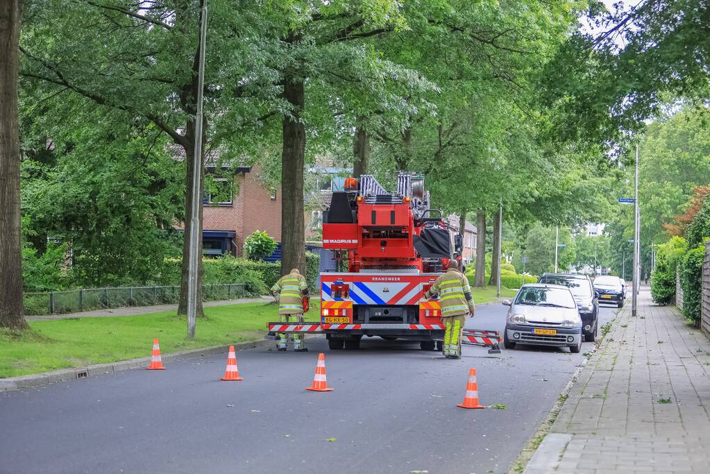 Loshangende tak door brandweer verwijderd