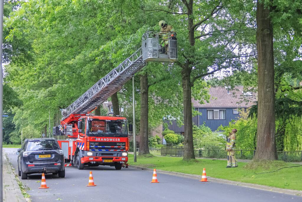 Loshangende tak door brandweer verwijderd