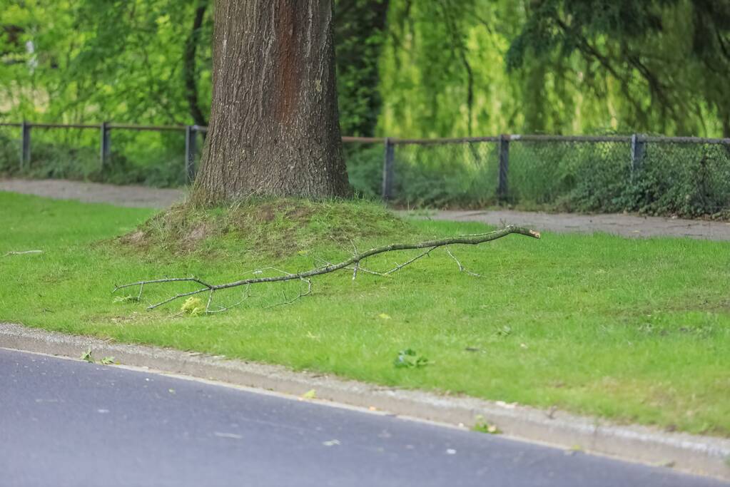 Loshangende tak door brandweer verwijderd