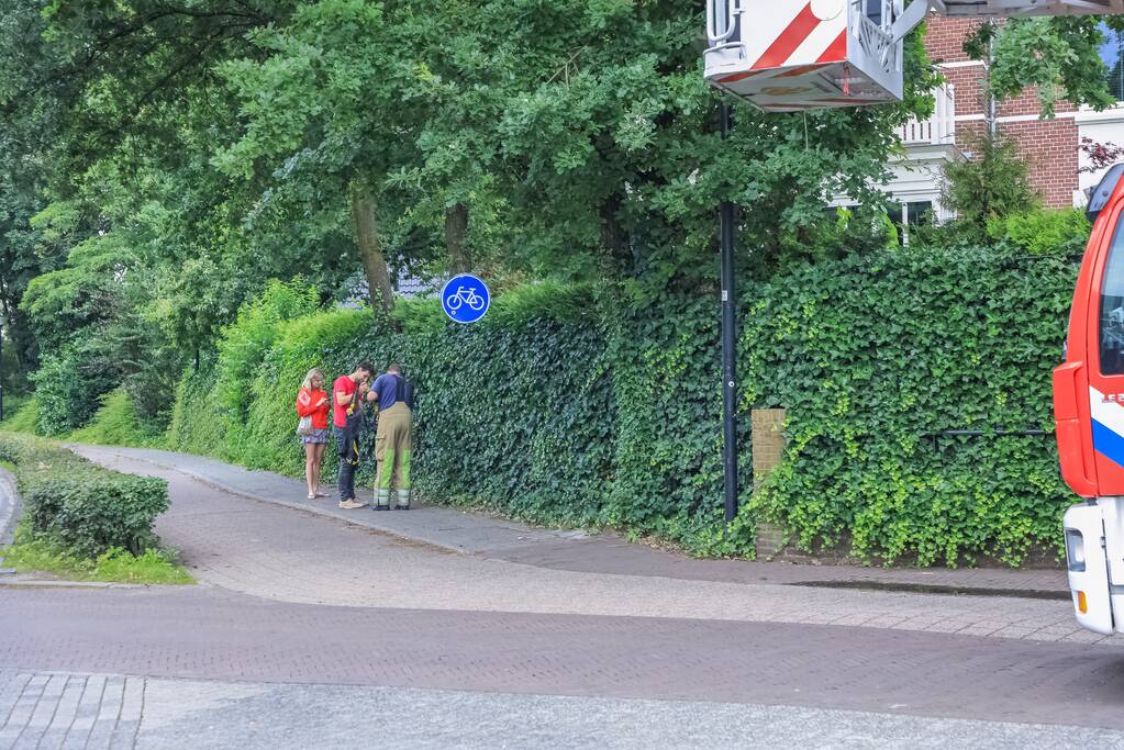 Valkparkiet vliegt boom in