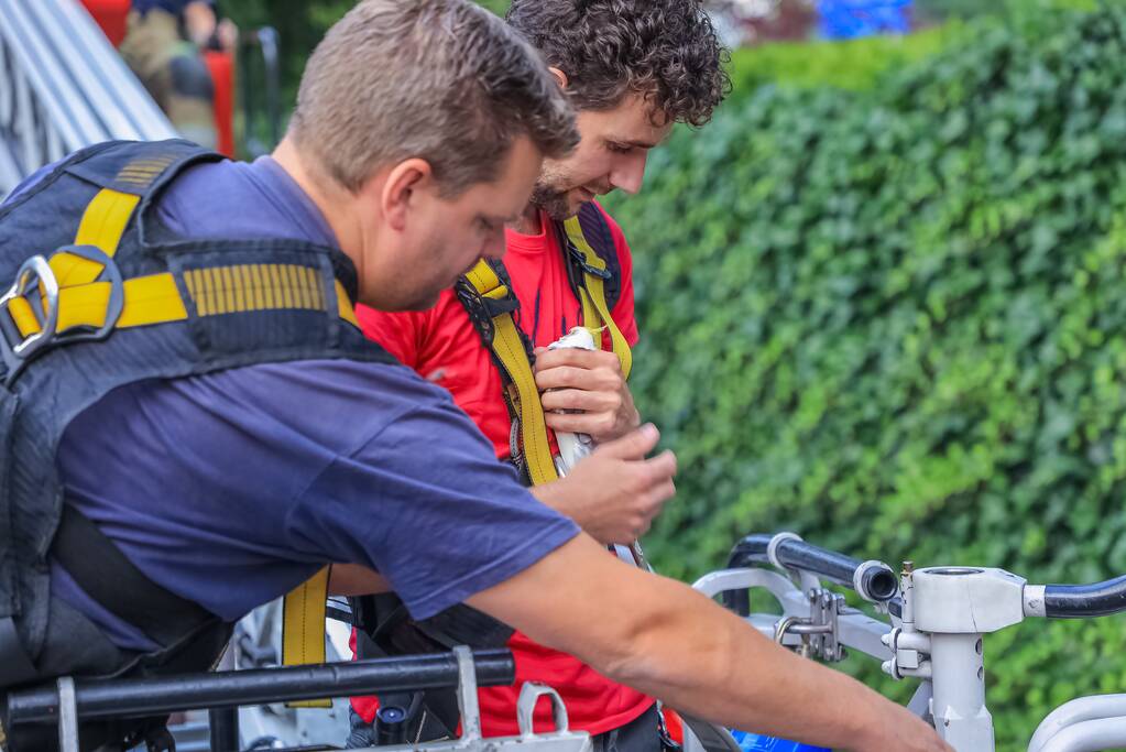 Valkparkiet vliegt boom in