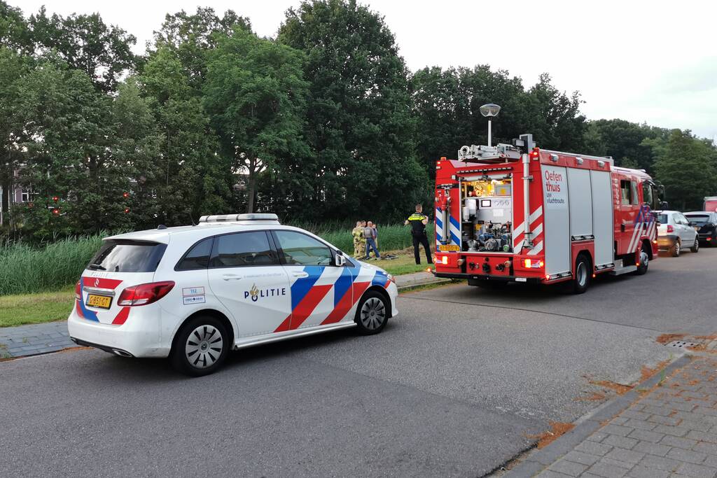 Broei in gemaaid gras