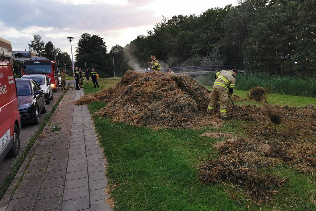 Broei in gemaaid gras