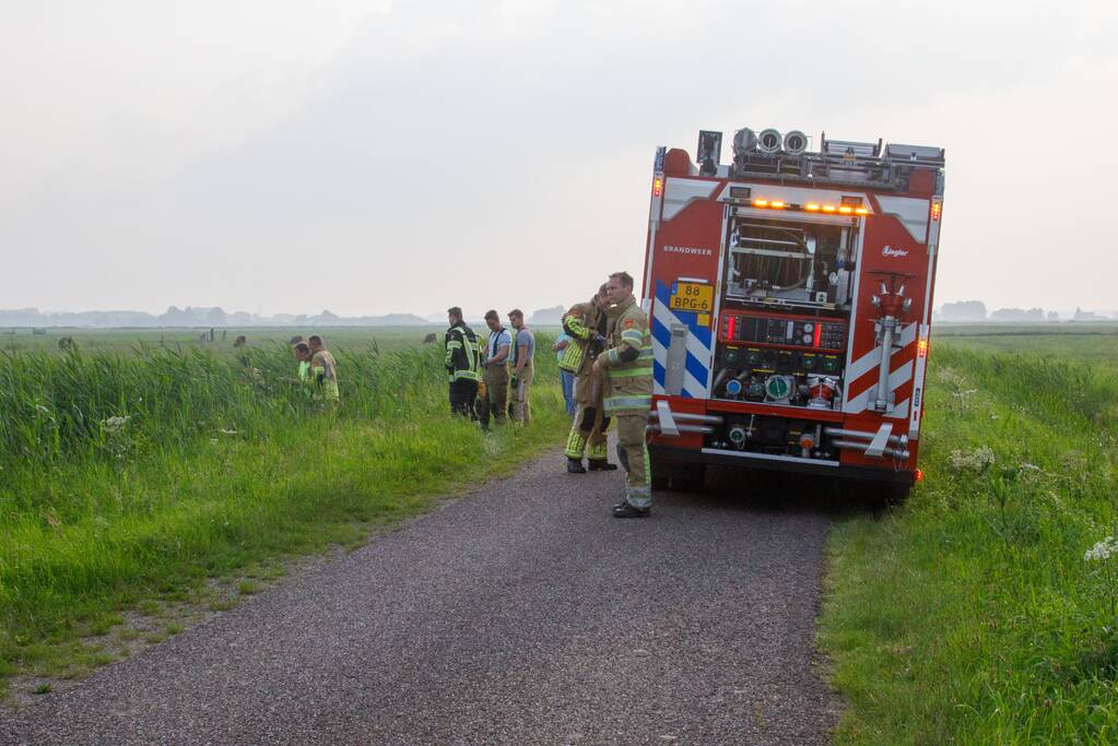 Kalf verdronken tijdens bevalling