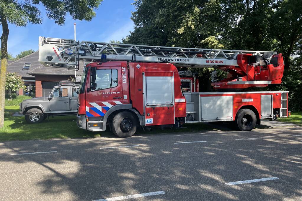 Pony uit zwembad gered