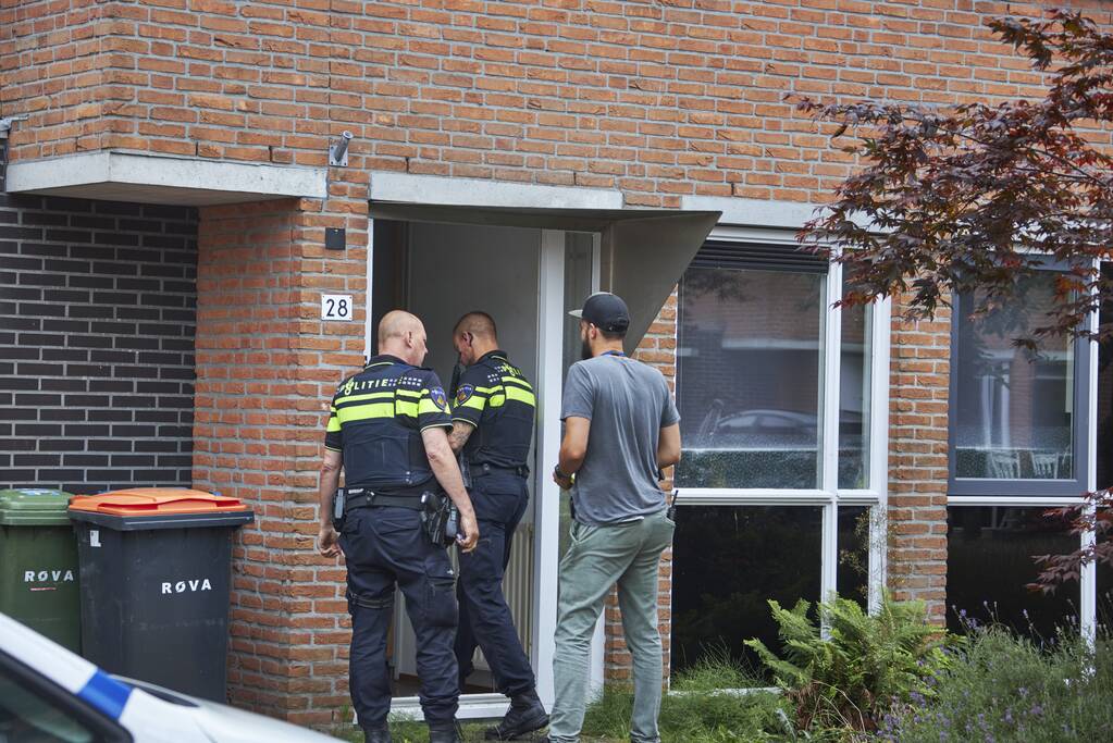 Hennepkwekerij met 50 planten aangetroffen in Kattenbroek