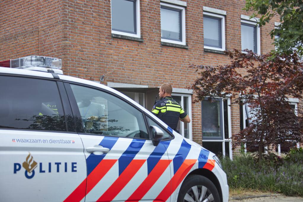 Hennepkwekerij met 50 planten aangetroffen in Kattenbroek
