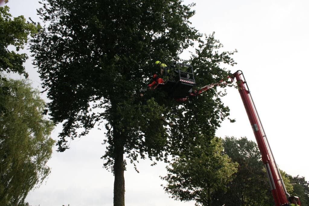 Tak valt vanuit boom op personenauto
