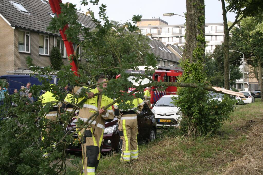 Tak valt vanuit boom op personenauto