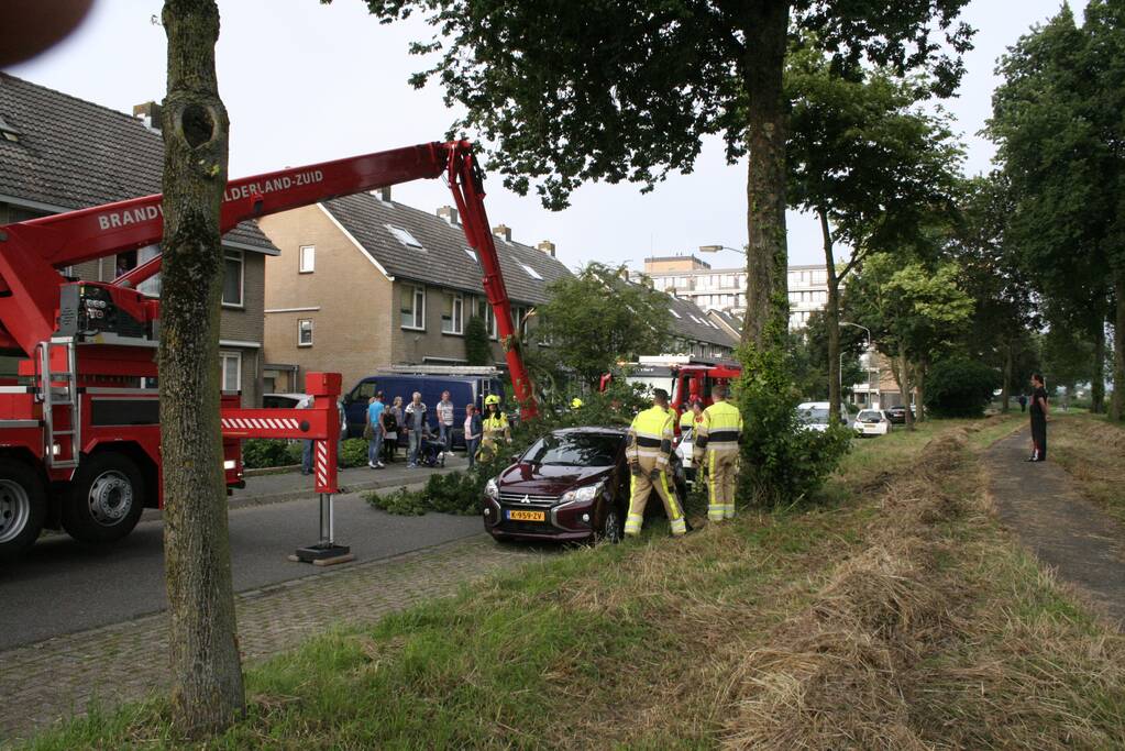Tak valt vanuit boom op personenauto