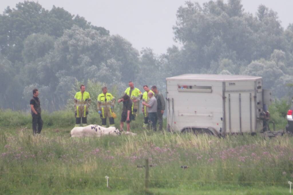 Man raakt gewond in weiland