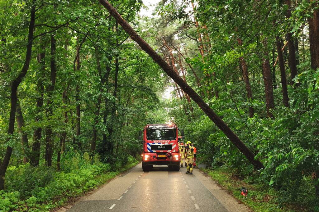 Brandweer haalt gevaarlijk hangende boom neer