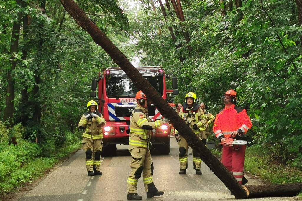 Brandweer haalt gevaarlijk hangende boom neer