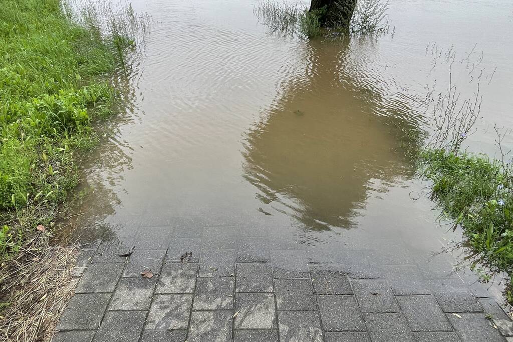 Veerdienst getremd door stijgende Maas