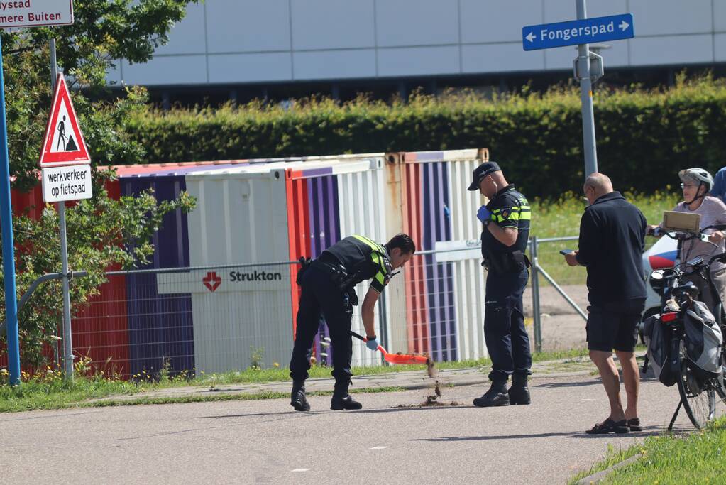 Fietsster loopt ernstig hoofdletsel op bij botsing