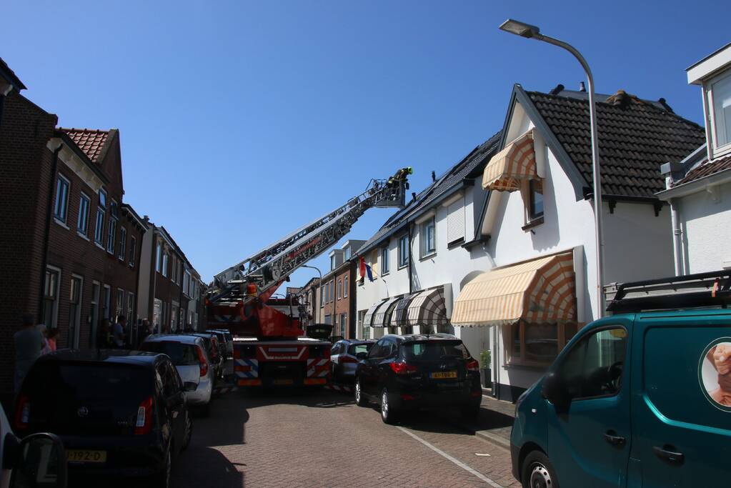 Jonge meeuw vast onder zonnepaneel