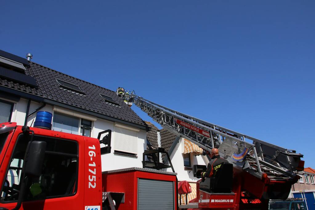 Jonge meeuw vast onder zonnepaneel