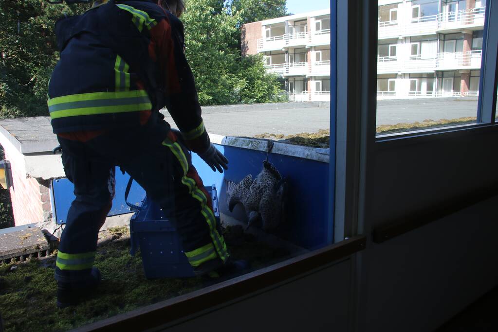 Meeuw gered door brandweer