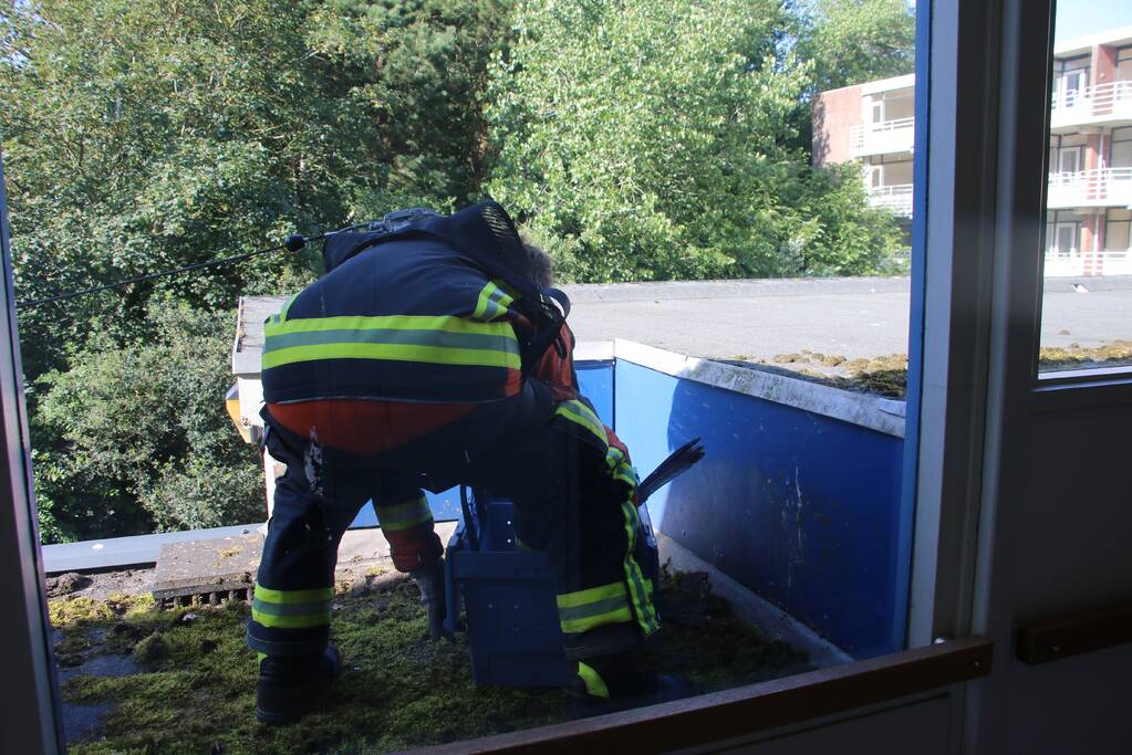 Meeuw gered door brandweer