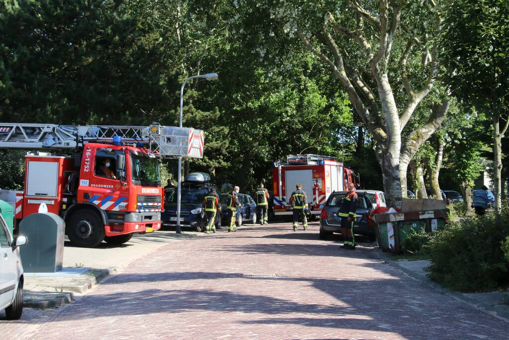 Meeuw gered door brandweer