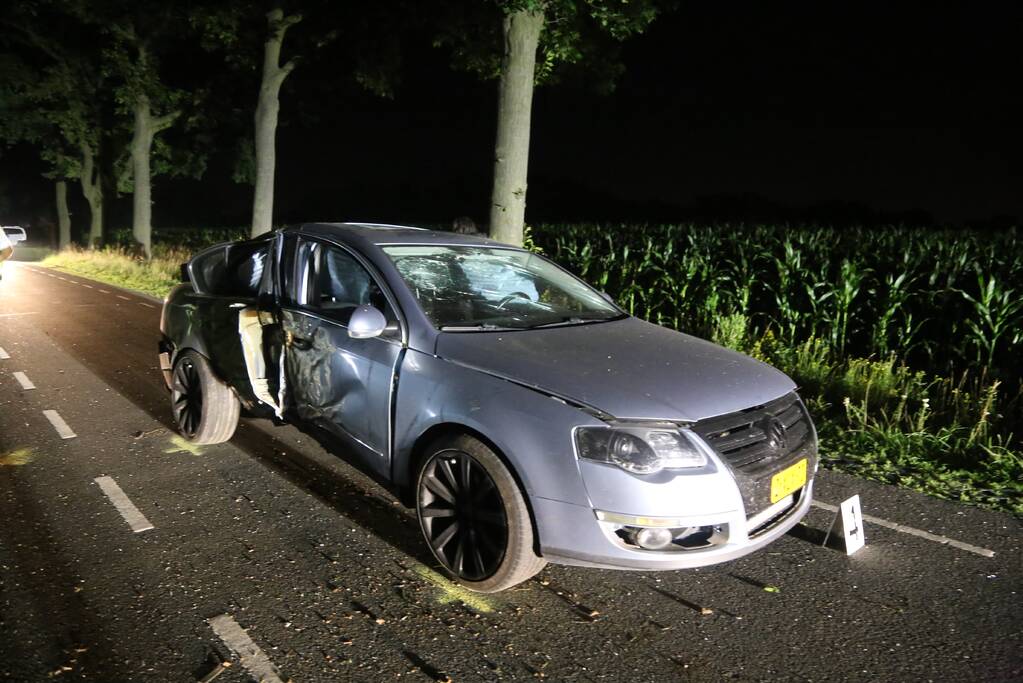 Meerdere gewonden bij botsing tegen boom