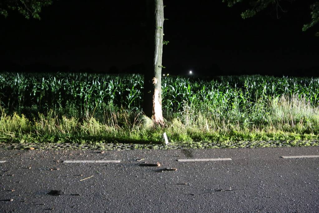 Meerdere gewonden bij botsing tegen boom