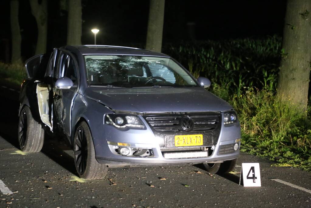 Meerdere gewonden bij botsing tegen boom