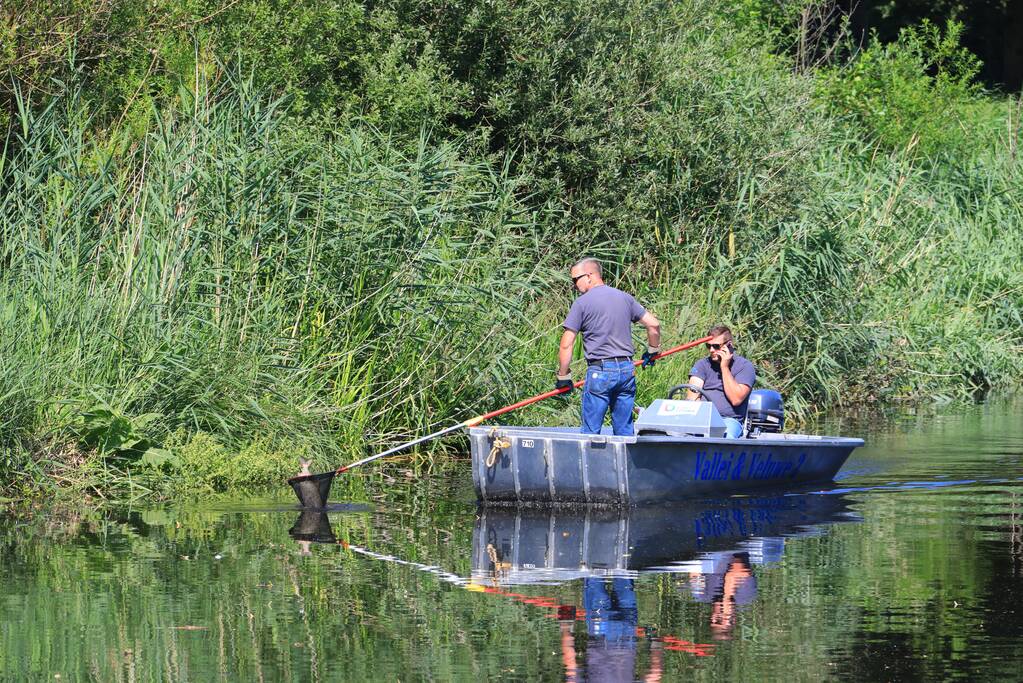 Waterschap haalt emmers met dode vissen uit Valleikanaal