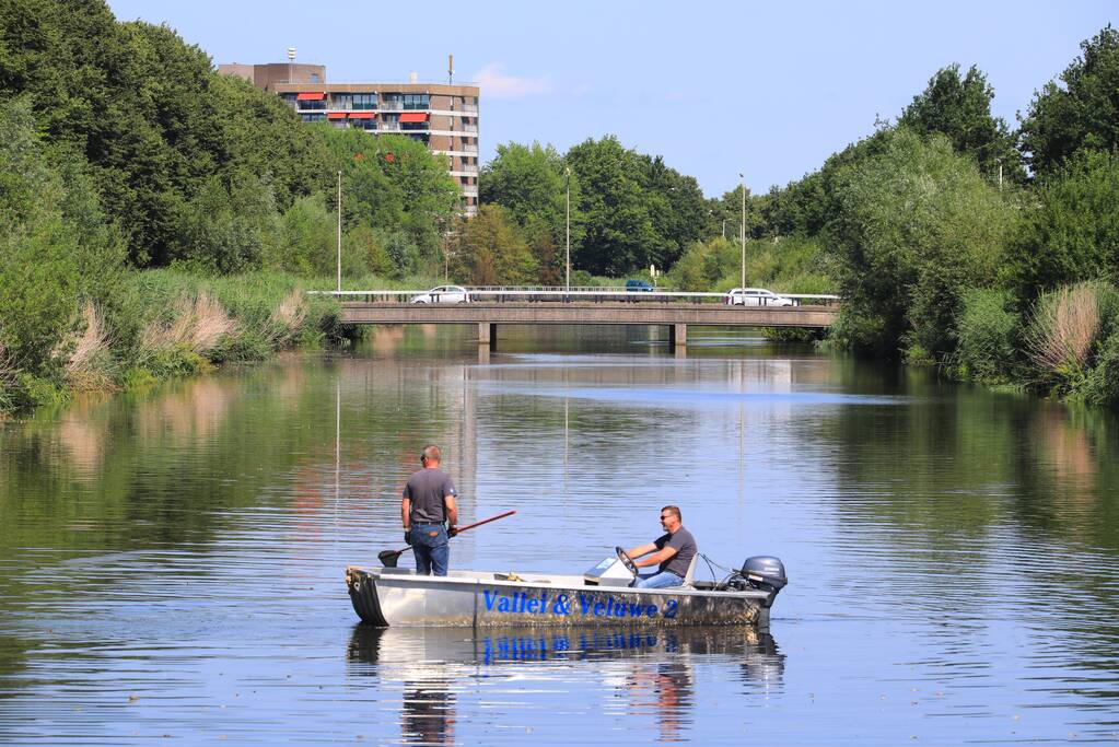 Waterschap haalt emmers met dode vissen uit Valleikanaal