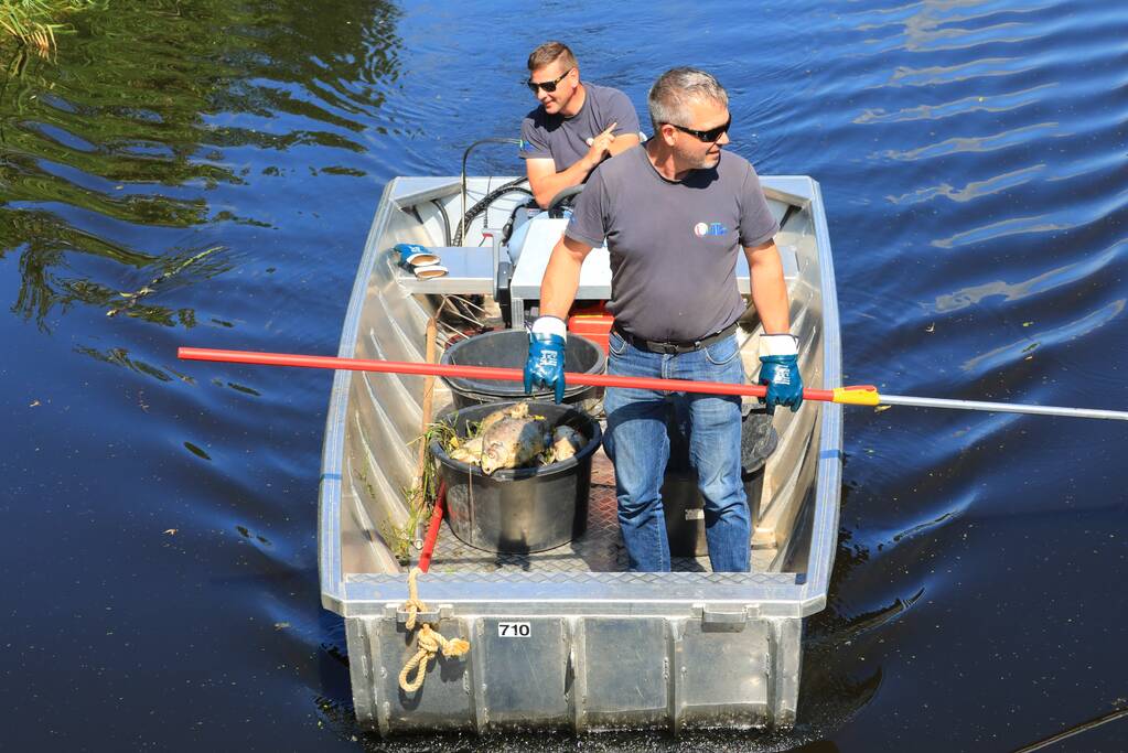 Waterschap haalt emmers met dode vissen uit Valleikanaal