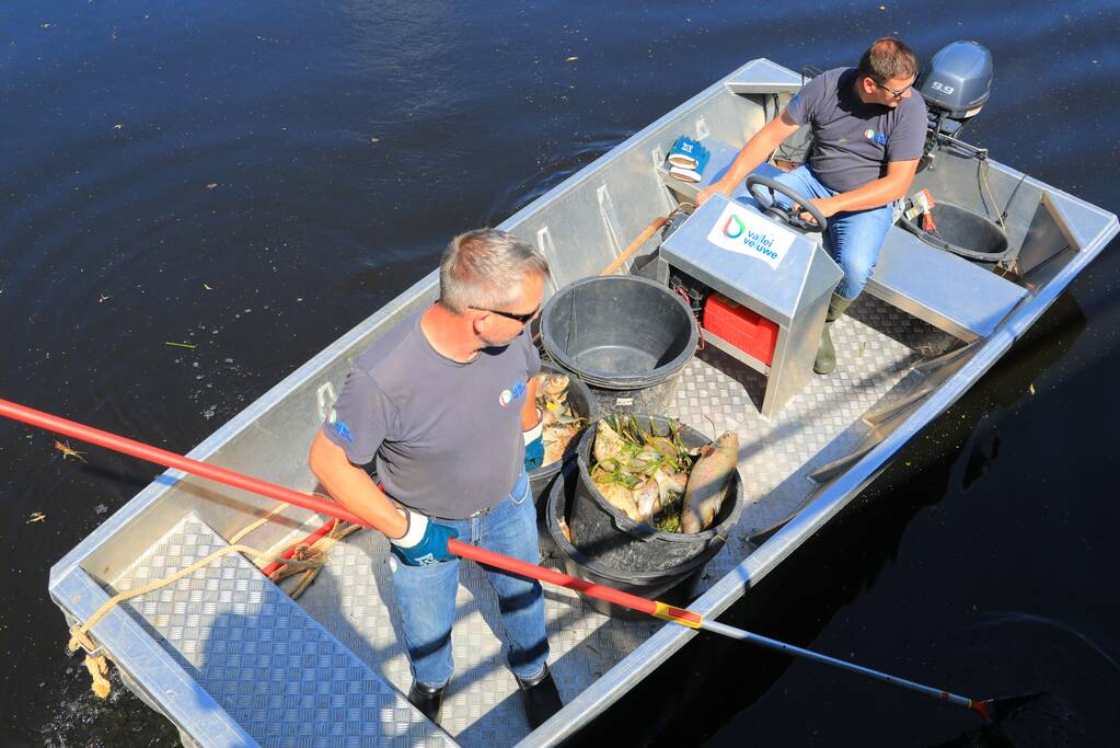 Waterschap haalt emmers met dode vissen uit Valleikanaal