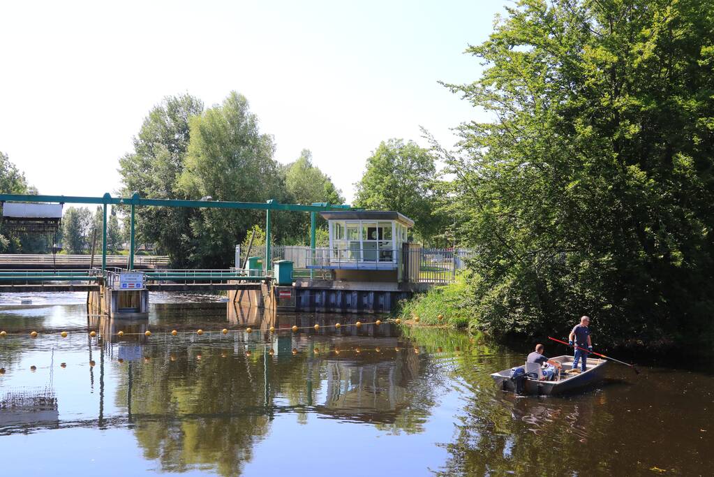 Waterschap haalt emmers met dode vissen uit Valleikanaal
