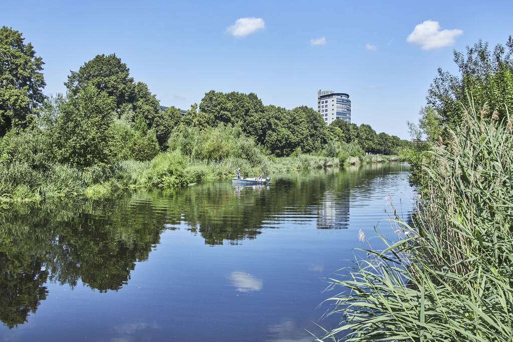 Waterschap haalt emmers met dode vissen uit Valleikanaal