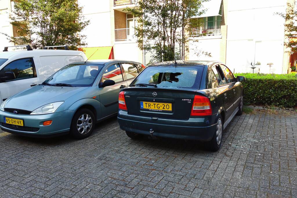 Persoon aangehouden door vernieling