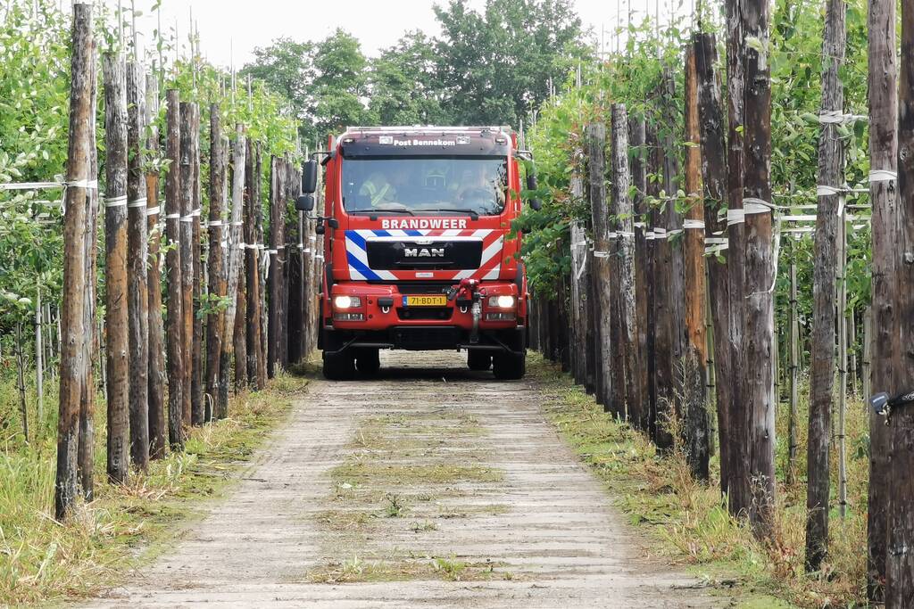 Buitenbrand slaat over na bomen en struiken