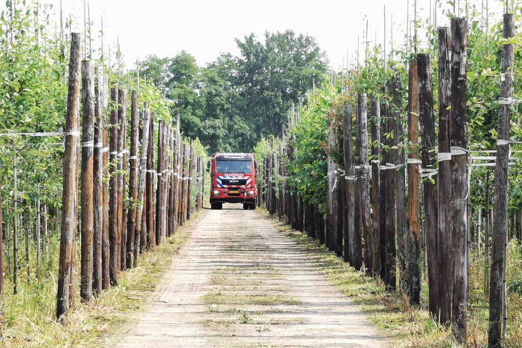 Buitenbrand slaat over na bomen en struiken