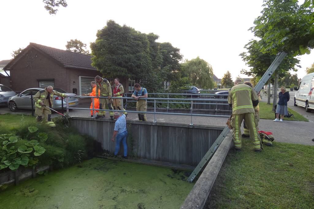 Brandweer vangt te water geraakte hond