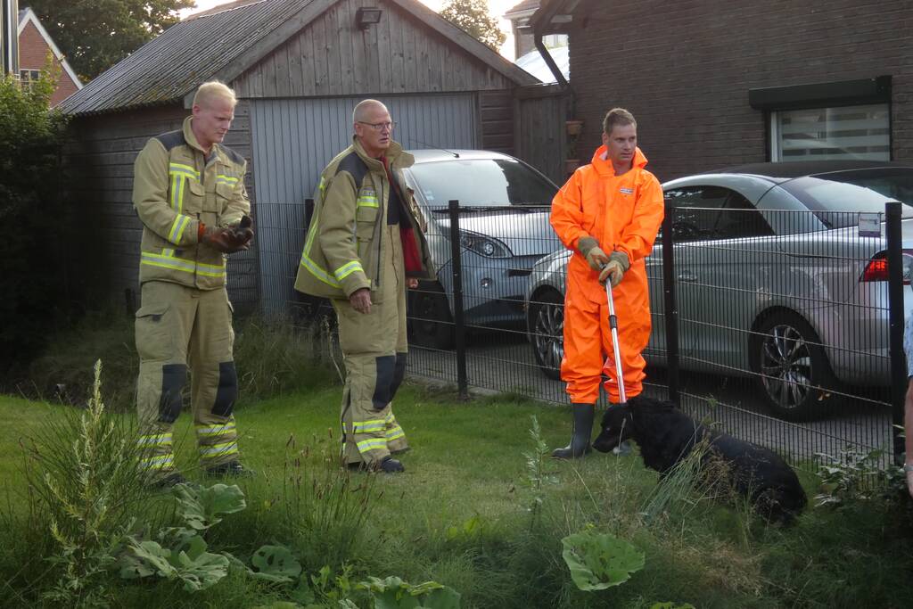 Brandweer vangt te water geraakte hond