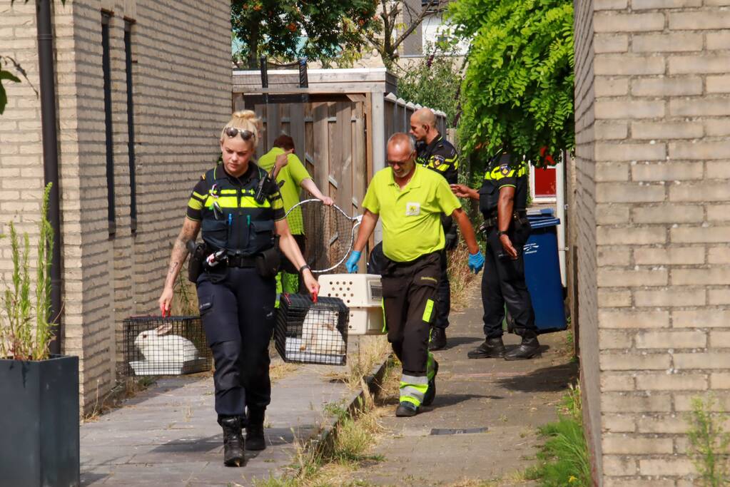 Man aangehouden na brand in woning