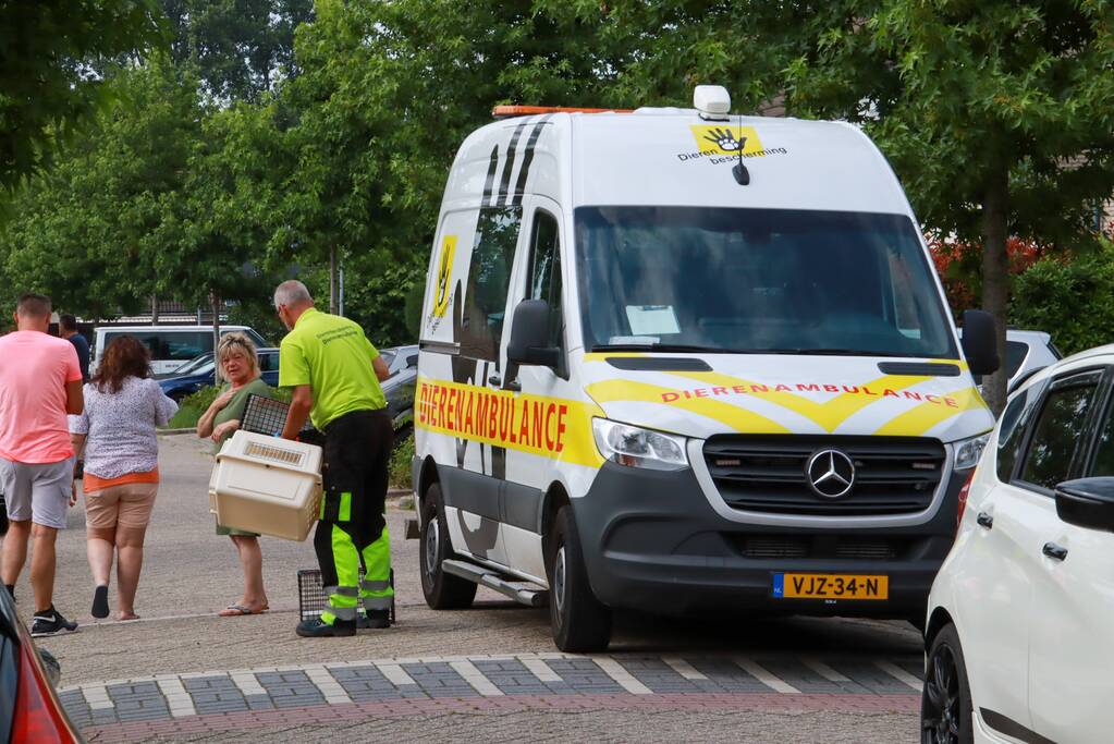 Man aangehouden na brand in woning