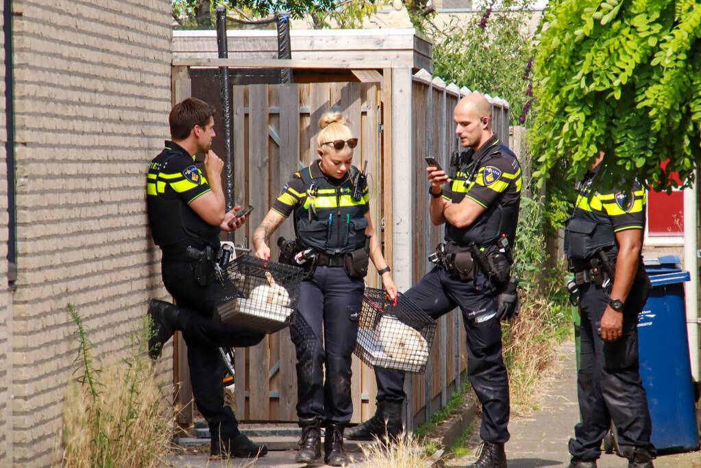 Man aangehouden na brand in woning