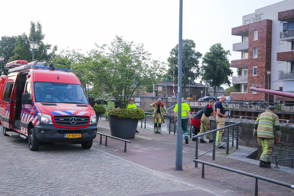 Baby meeuw komt in problemen